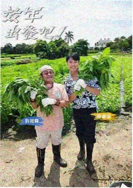 声浪对决 牛牛影院音乐竞技综艺